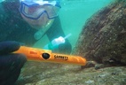Garrett Pro-Pointer AT